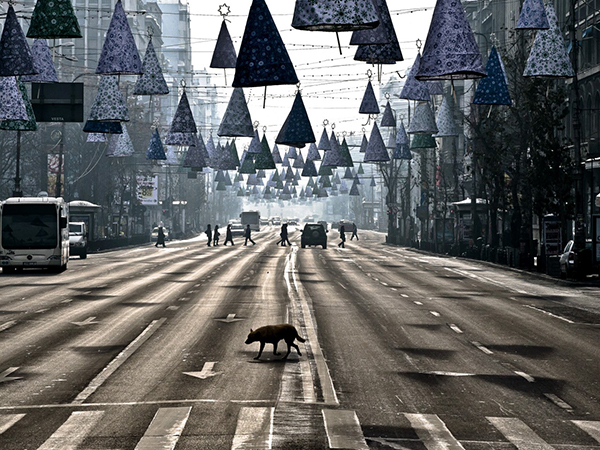 Ego is een vuile hond