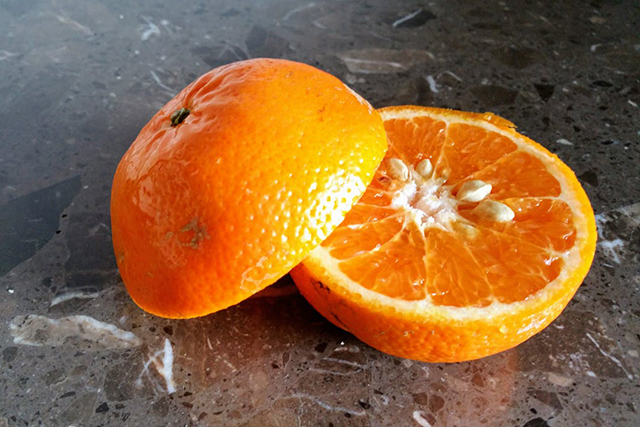 Sliced orange