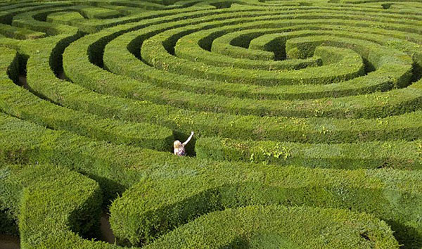 maze