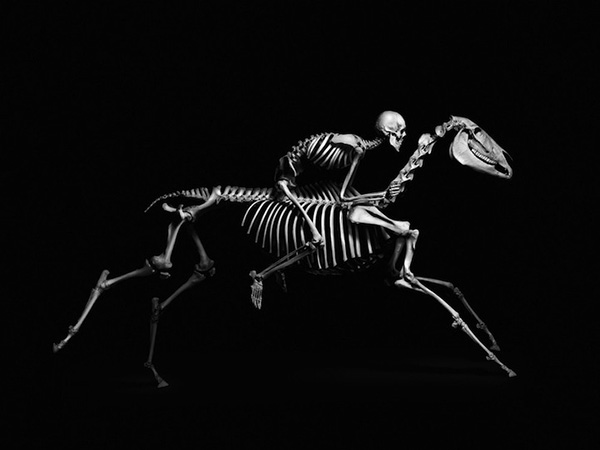 4 dead man riding a dead horse